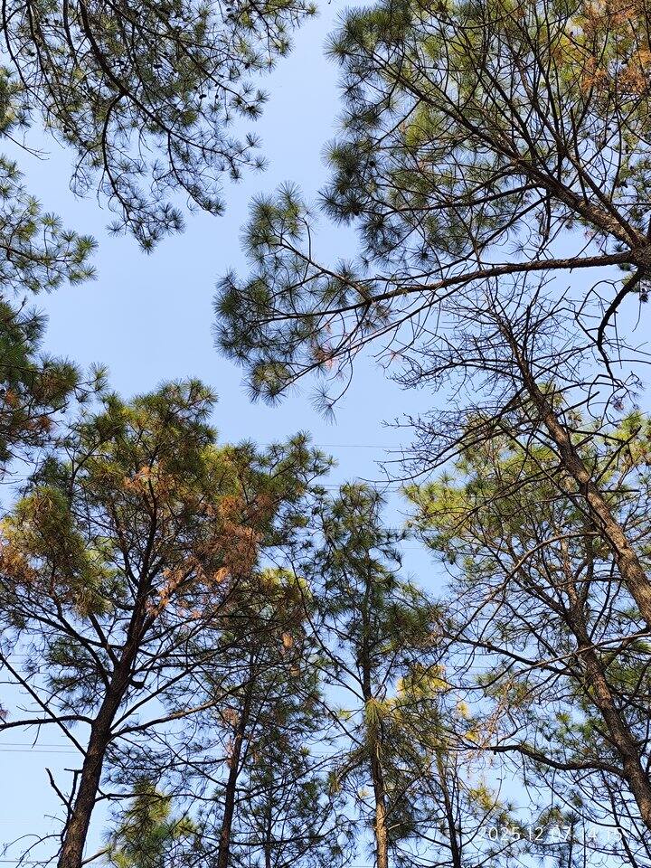 苏州工业园区精装两房出租