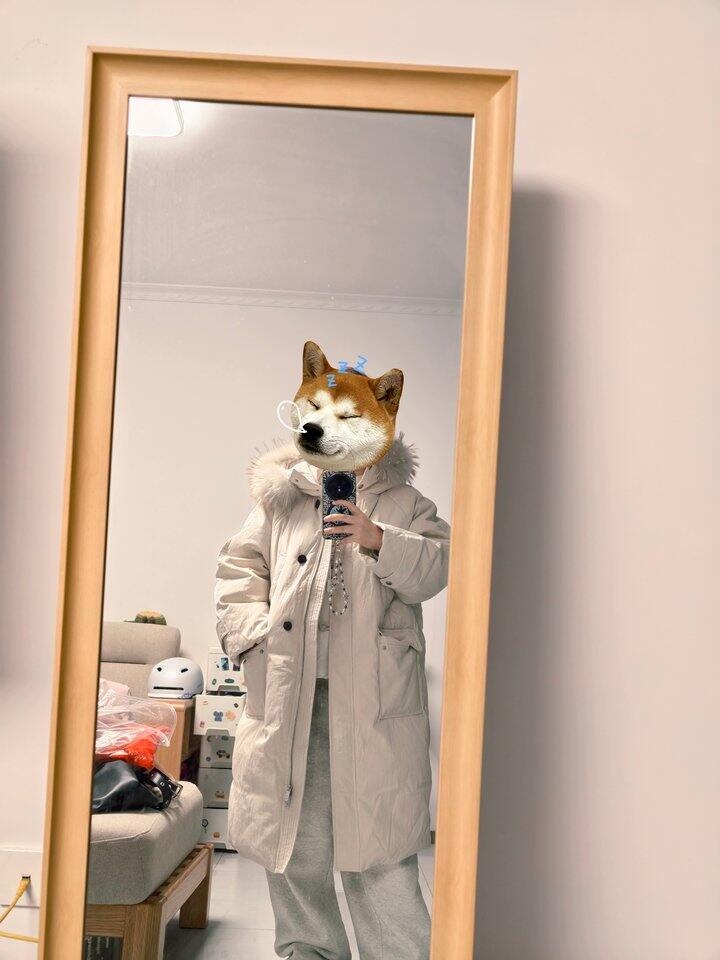 其实还是挺喜欢这件羽绒服