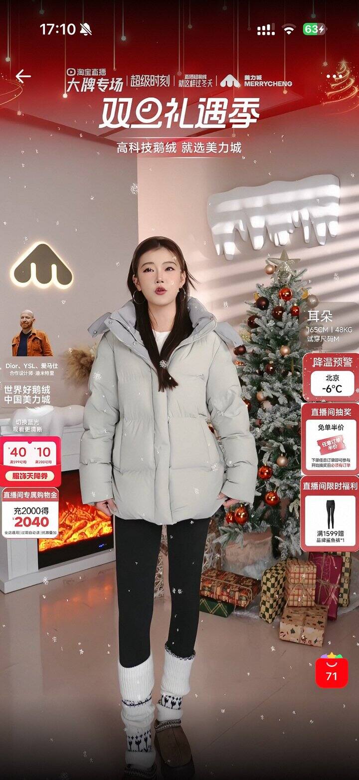 买了美力城这款鹅绒，极限凑单858到手