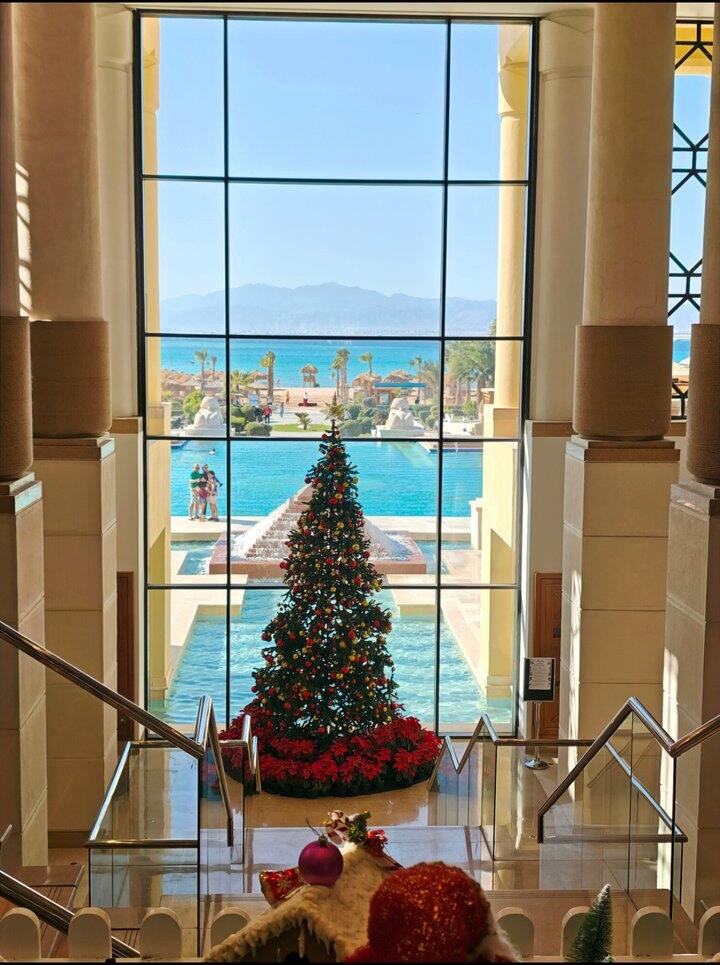 在埃及过了圣诞节