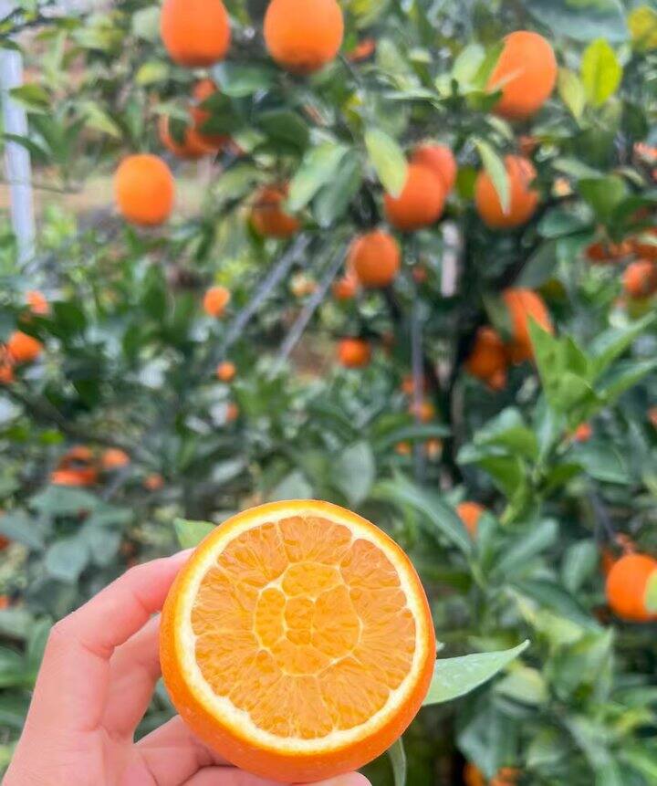 圣诞节快乐呀！！