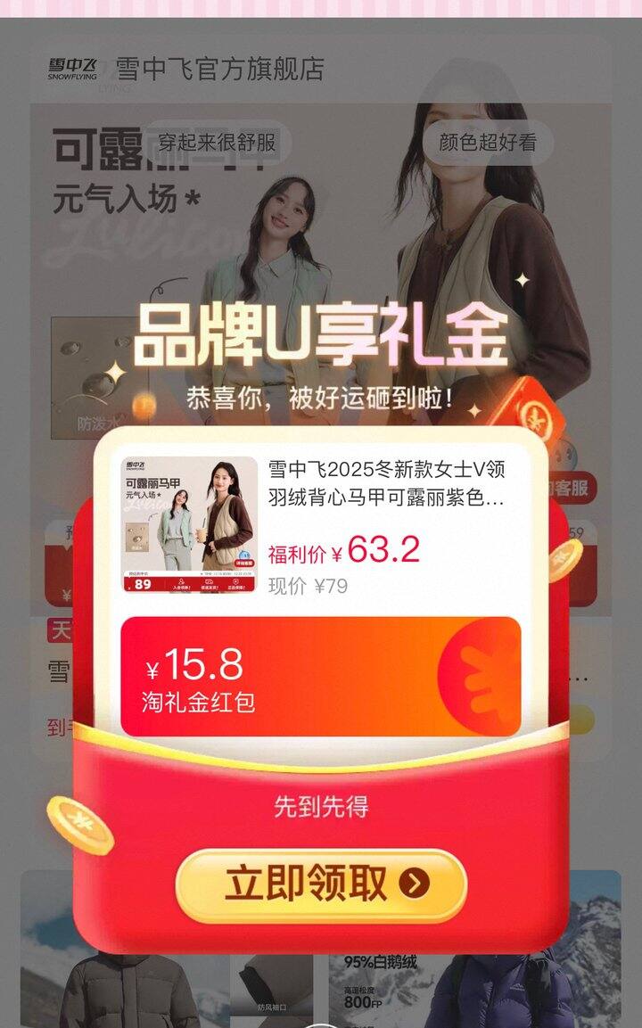 雪中飞，39💰‼️