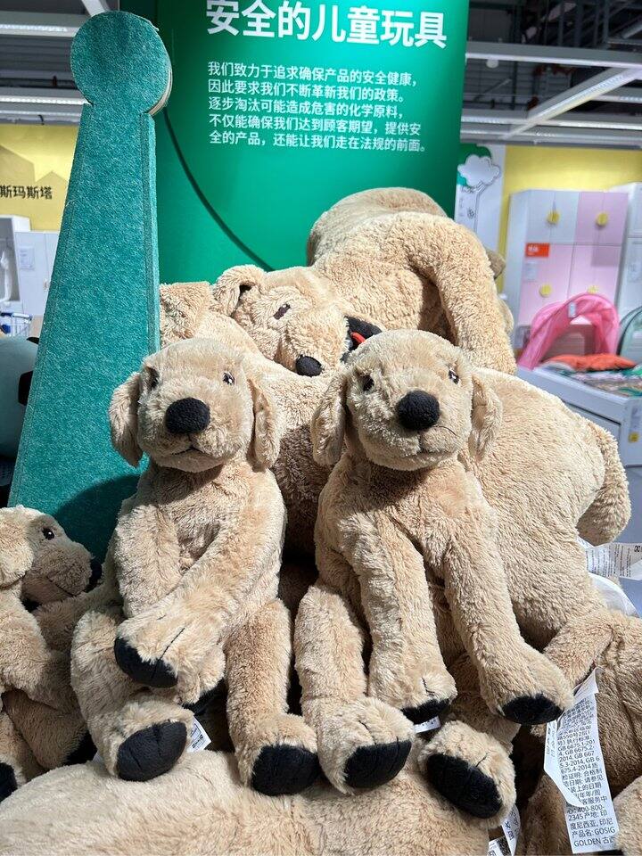 纠结达人已经选了十分钟了hhh