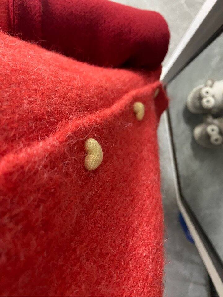 西柚红小狗毛衣