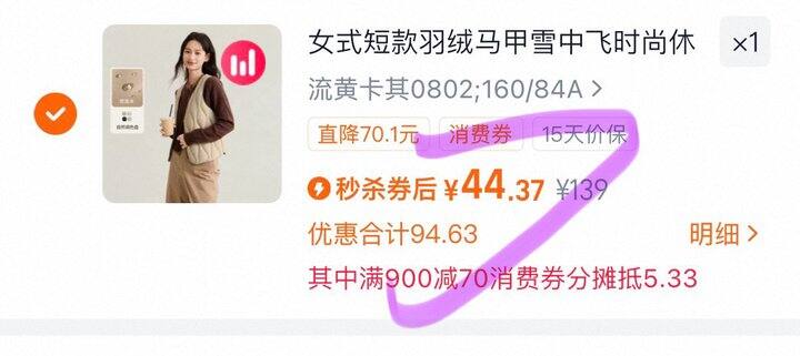 雪中飞羽绒马甲