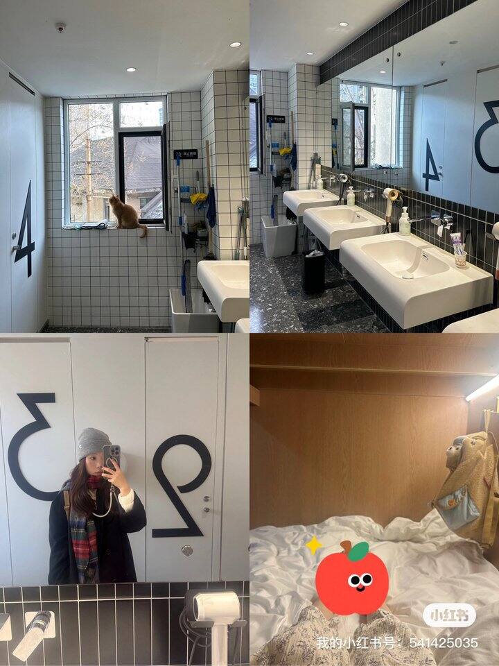分享下这次一个人旅行住的几家城市的青旅体验