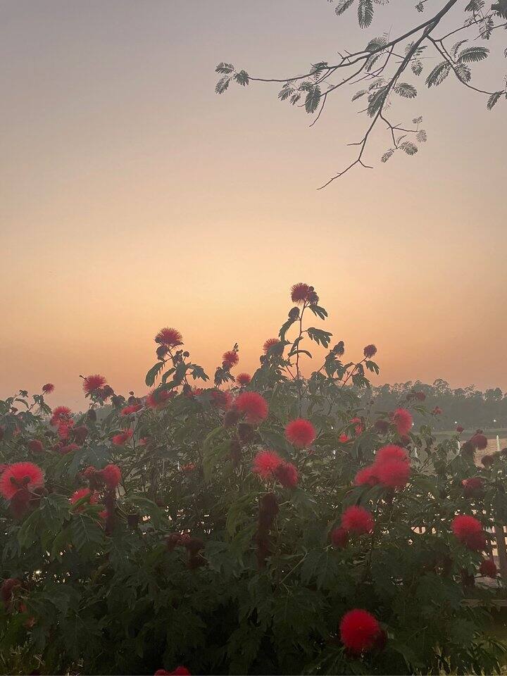 这是蓝调时刻吗