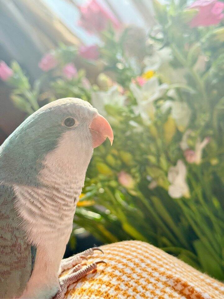 天空闪过灿烂花火