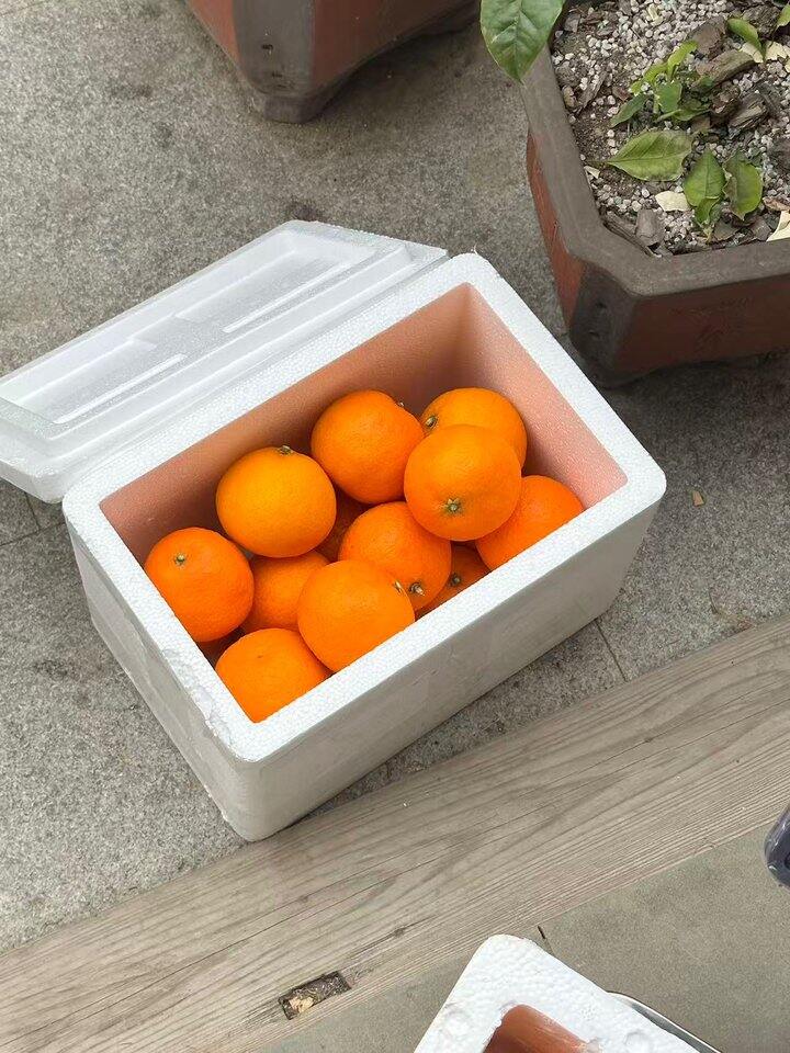 有没有姐妹想买红美人的