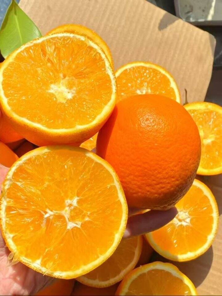 🍎赣南脐橙带箱5斤 💰6.9