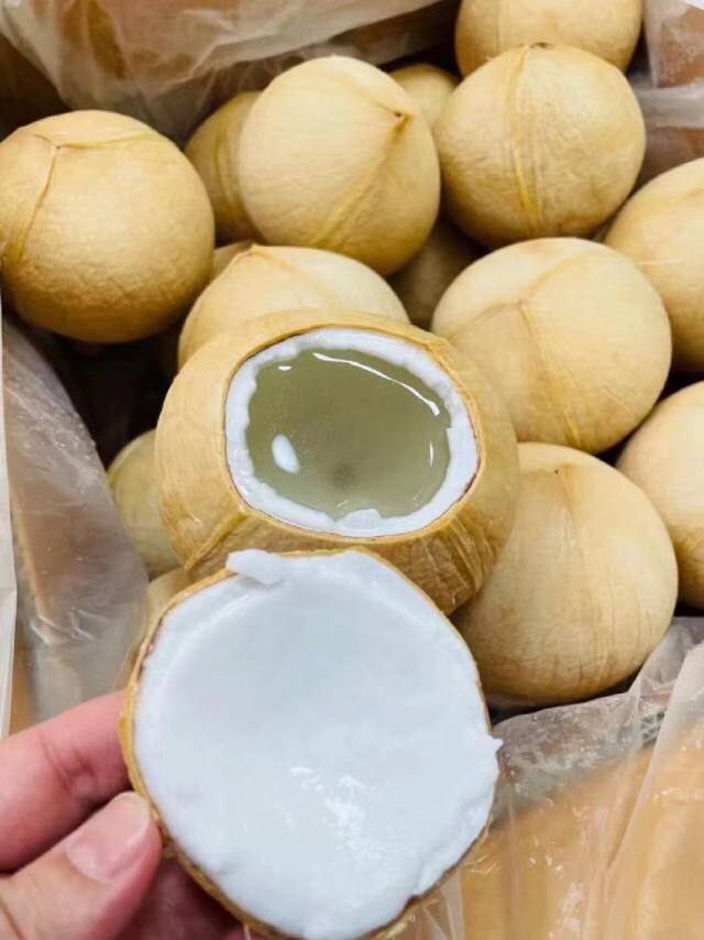 【泰国椰皇】限量试吃26.9元/2个~