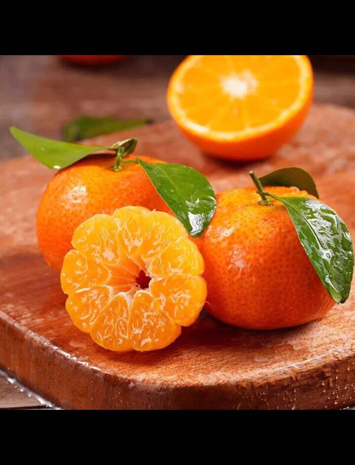 广西砂糖橘✖️4.5斤，14.8