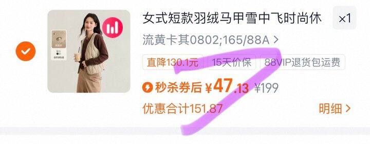 雪中飞羽绒马甲