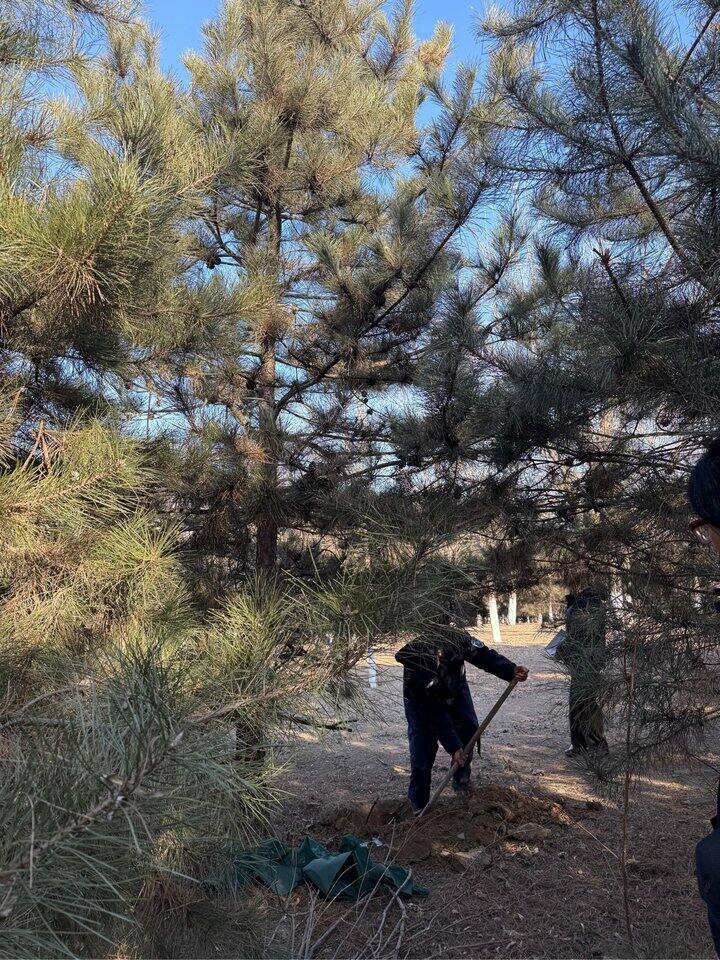 以后就在另一个日子给你庆祝了宝贝