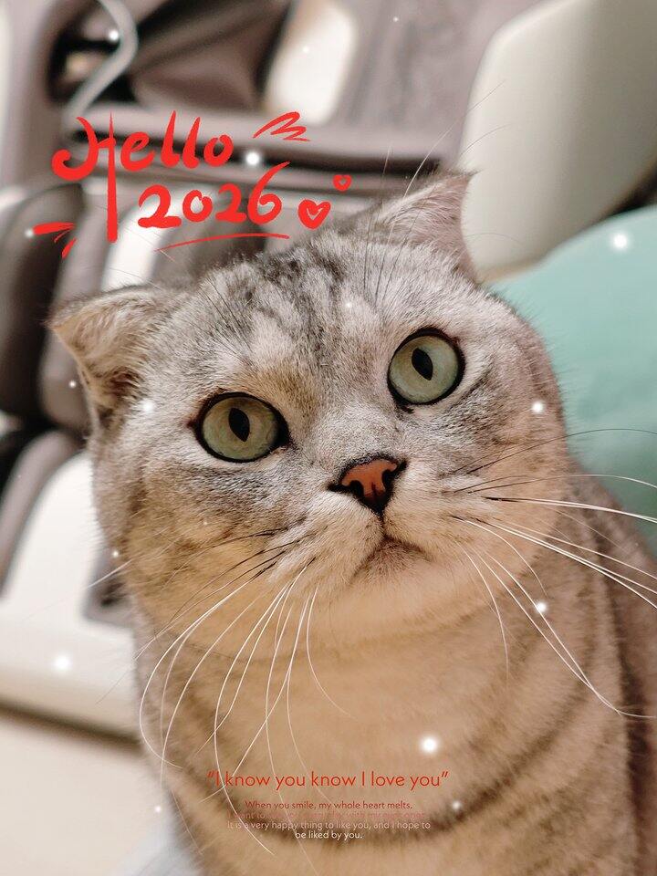 希望2026能顺顺利利