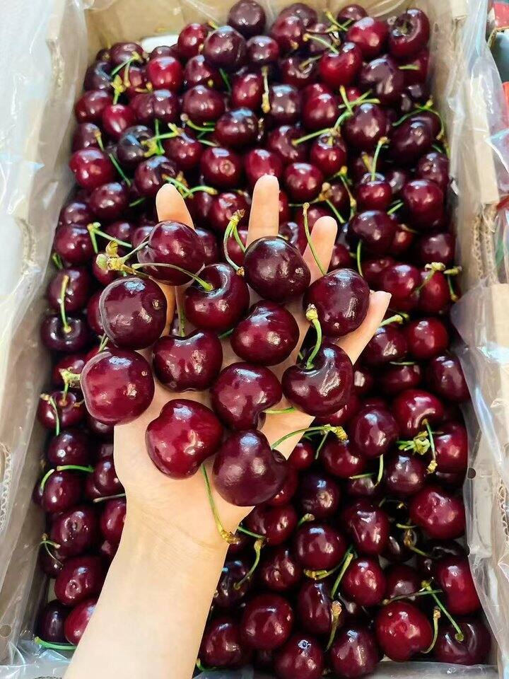 京鲜生 智利进口车厘子✖️10斤💰198，19.8/斤