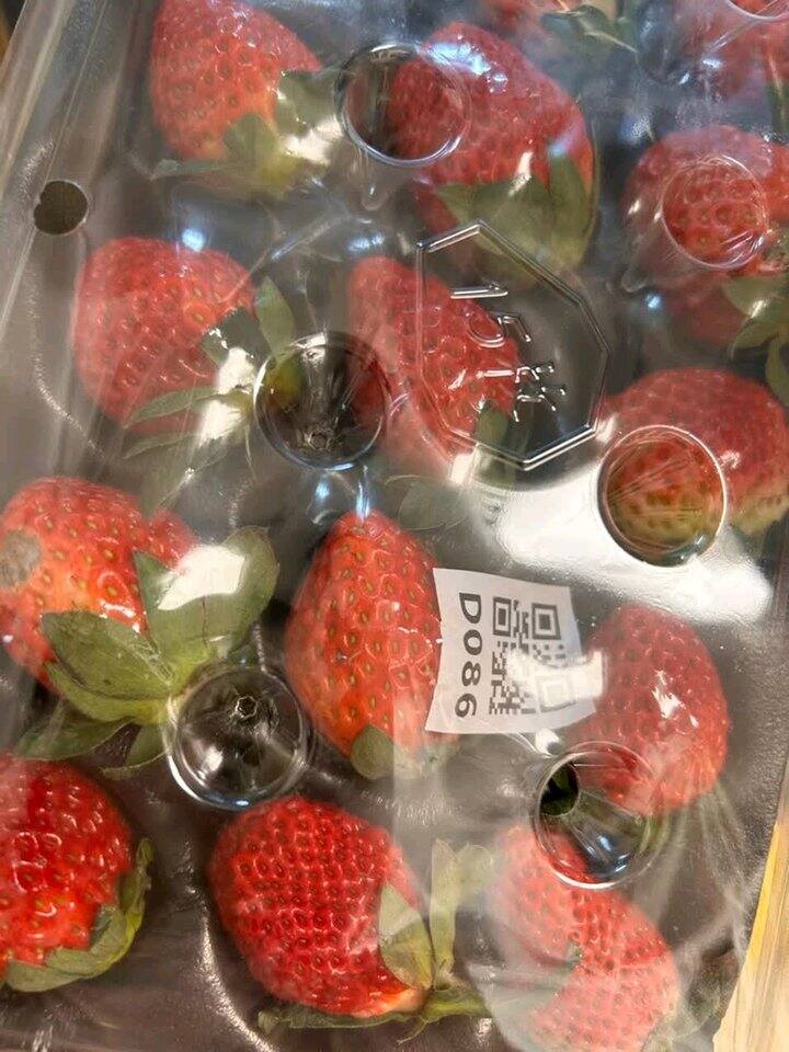 自营草莓🍓