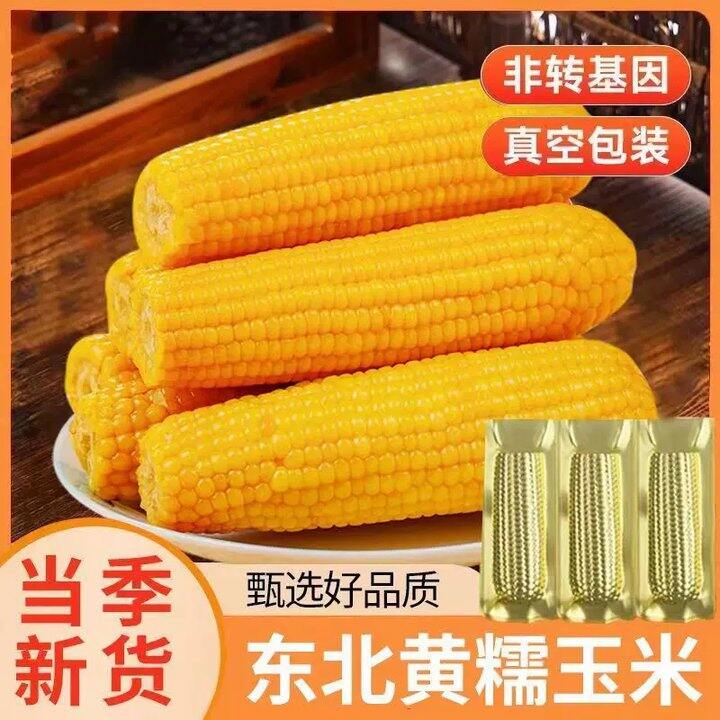 刘老杆东北黄糯玉米✖️8根💰16.3