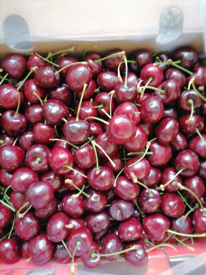 大润发车厘子🍒