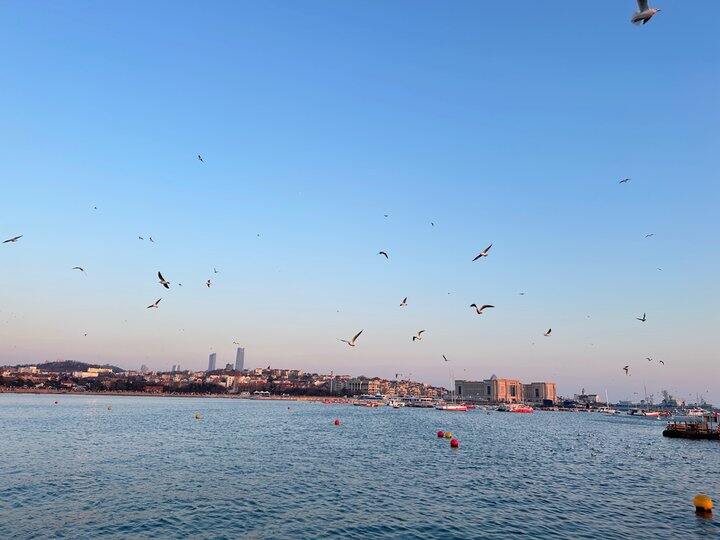 2026.1.2 天气晴，海边很美