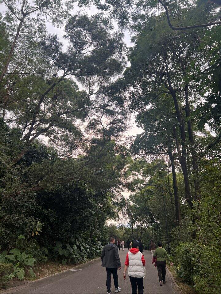 元旦假期结束了