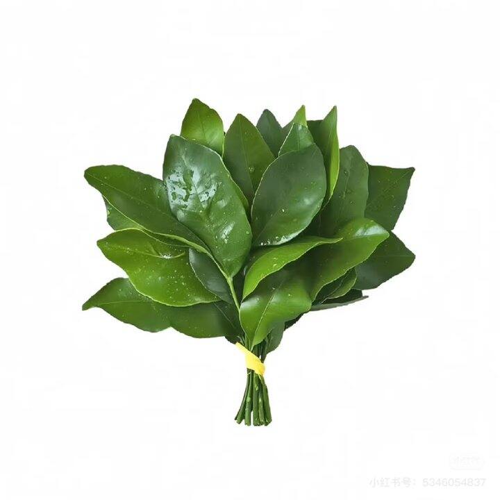 求助 ｜｜有没有好穿不掉档适合北方的孕妇打底裤