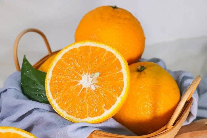 【甜心桔柚】既是橙又是桔还是柚~