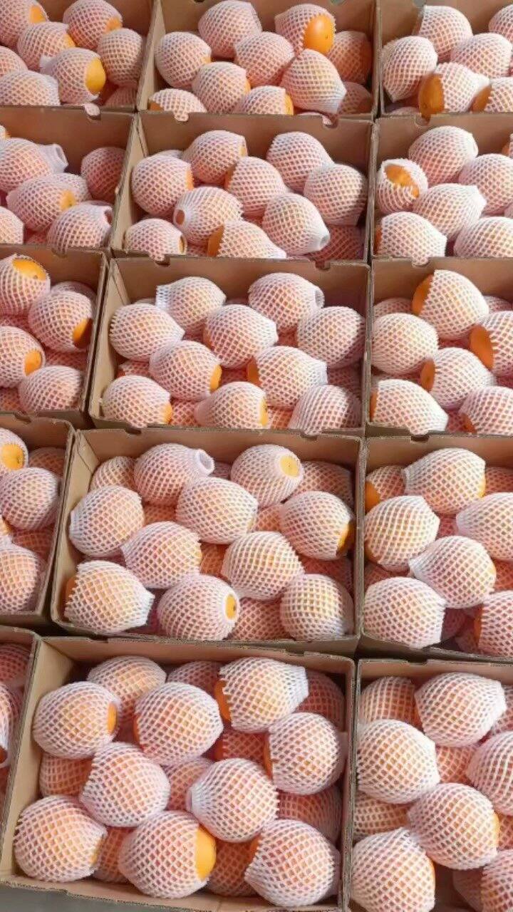 下午精品果打包专场