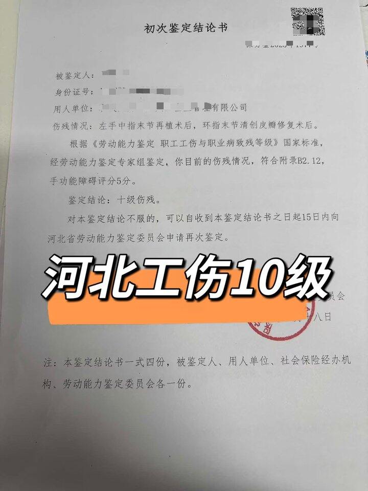 河北工伤十级