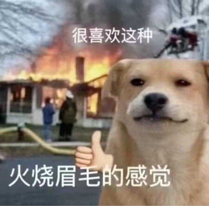 补铁应该吃哪种补剂啊