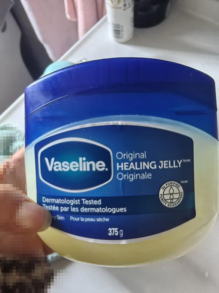 沙漠大干皮怎么过冬