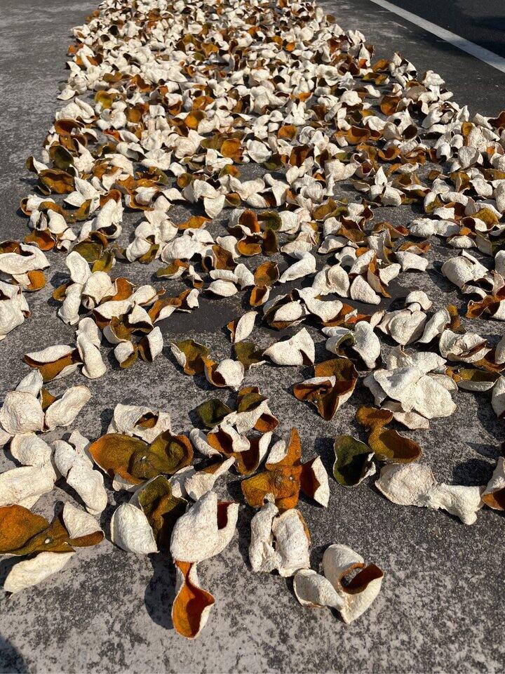 晒陈皮的好天气