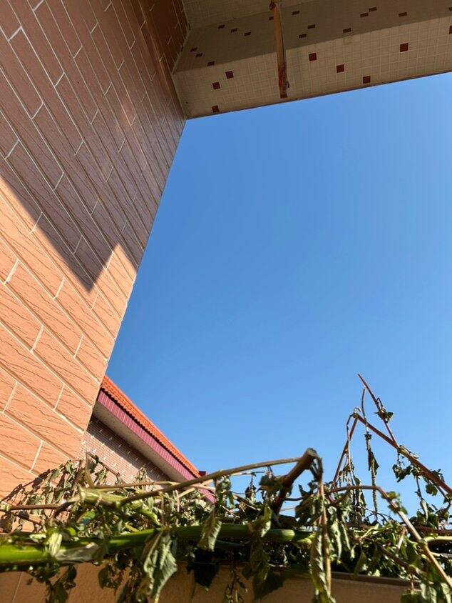 多晒太阳总有好处