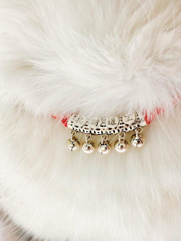 新年新气象~给家咪换新项链