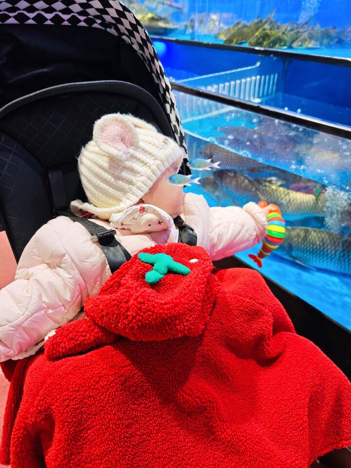 此时此刻 碎碎念