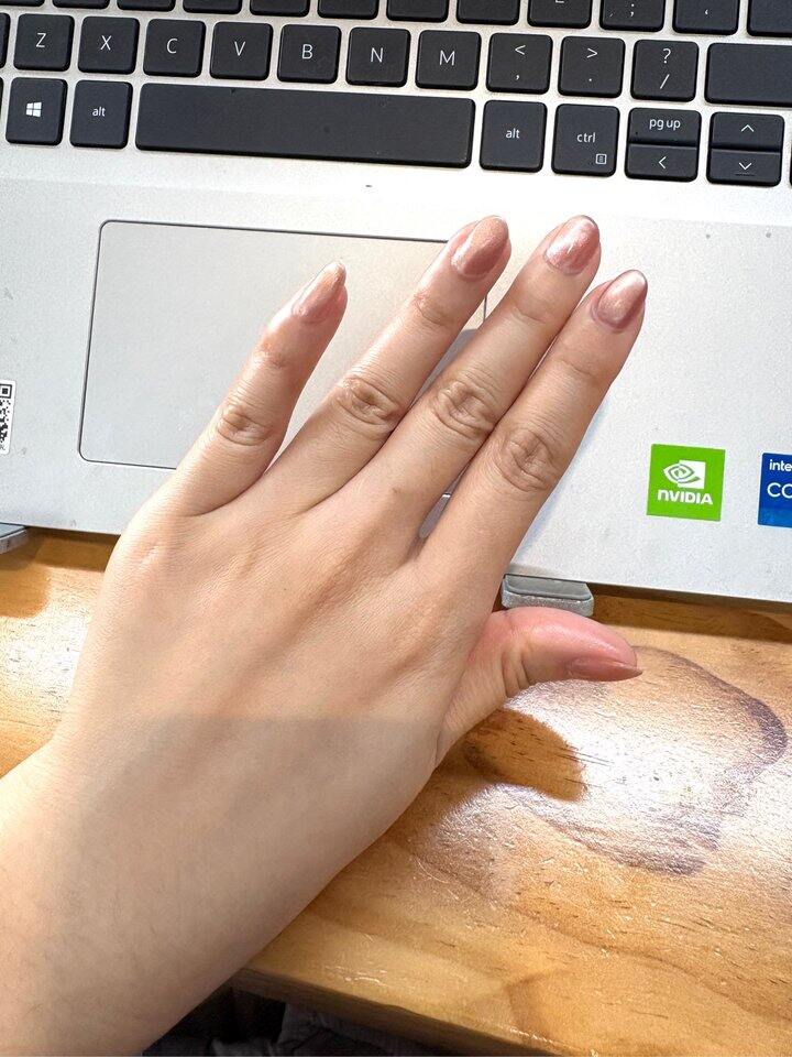 燕翎光轮真的很貌美