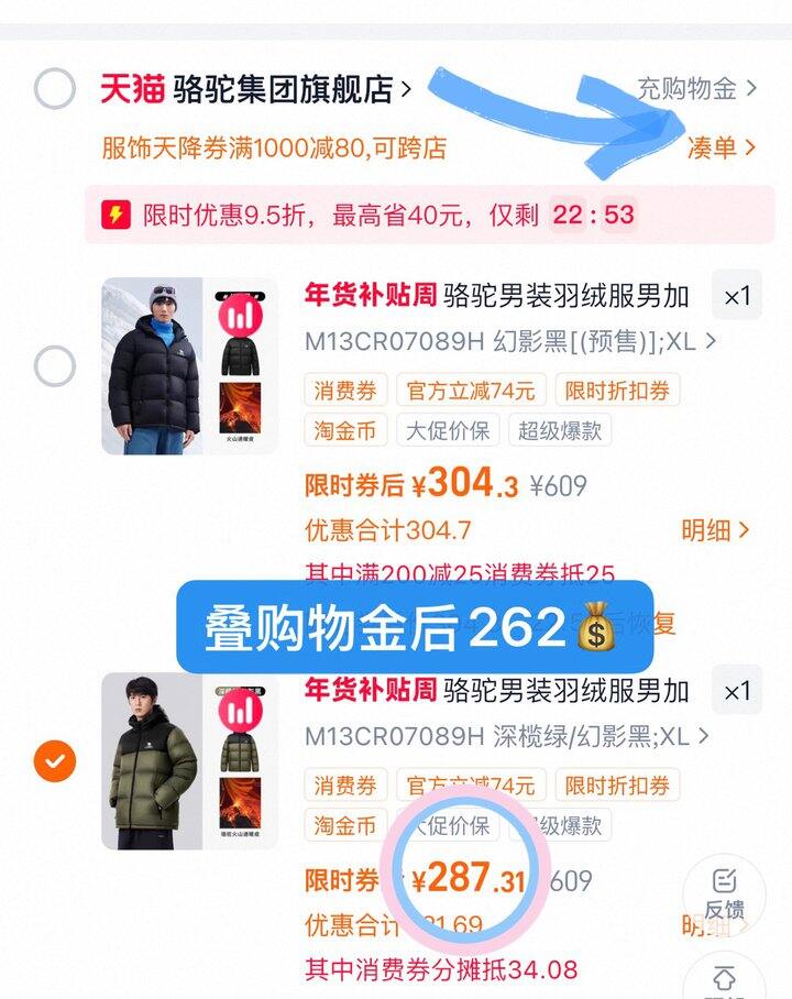 262💰骆驼-火山1.0羽绒服❗️