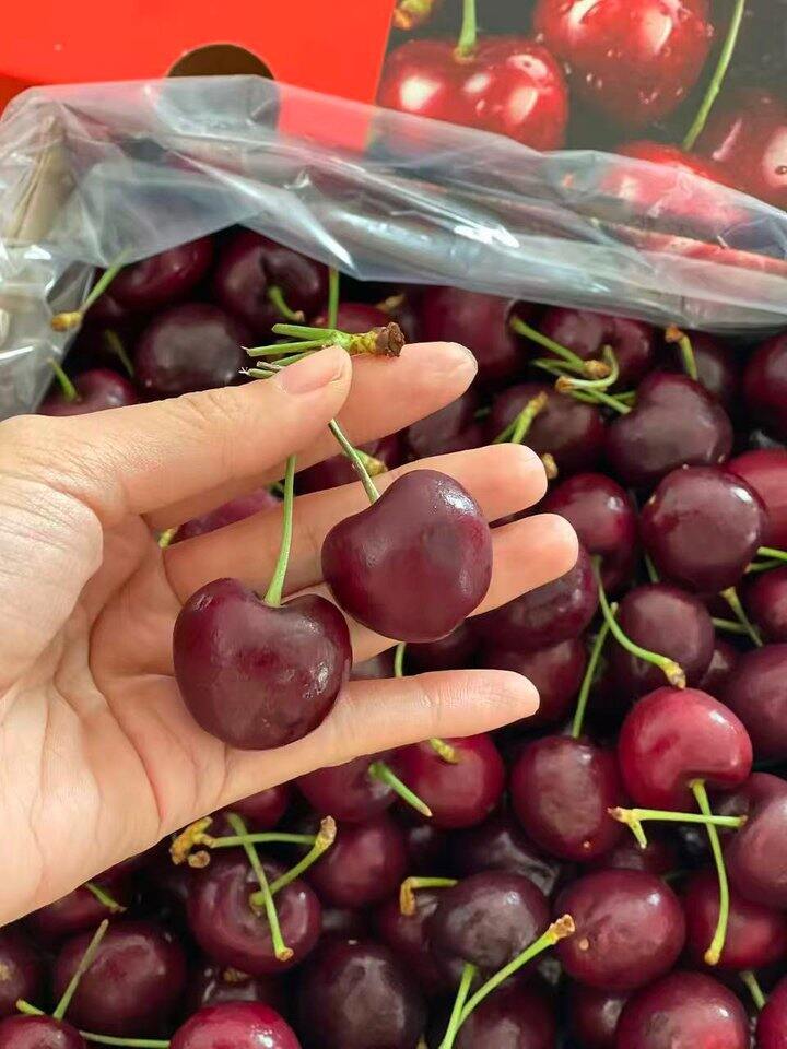 京鲜生 智利进口/新西兰空运车厘子🍒