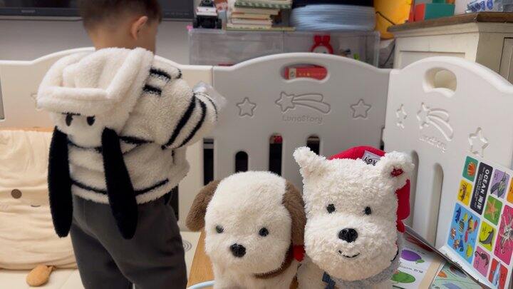 拥有新狗狗૮ • ﻌ - ა