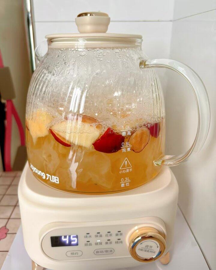 九阳全玻璃养生壶113💰