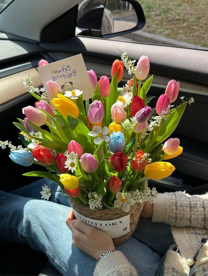 🌷郁金香永远浪漫！冬日也是！💰1+