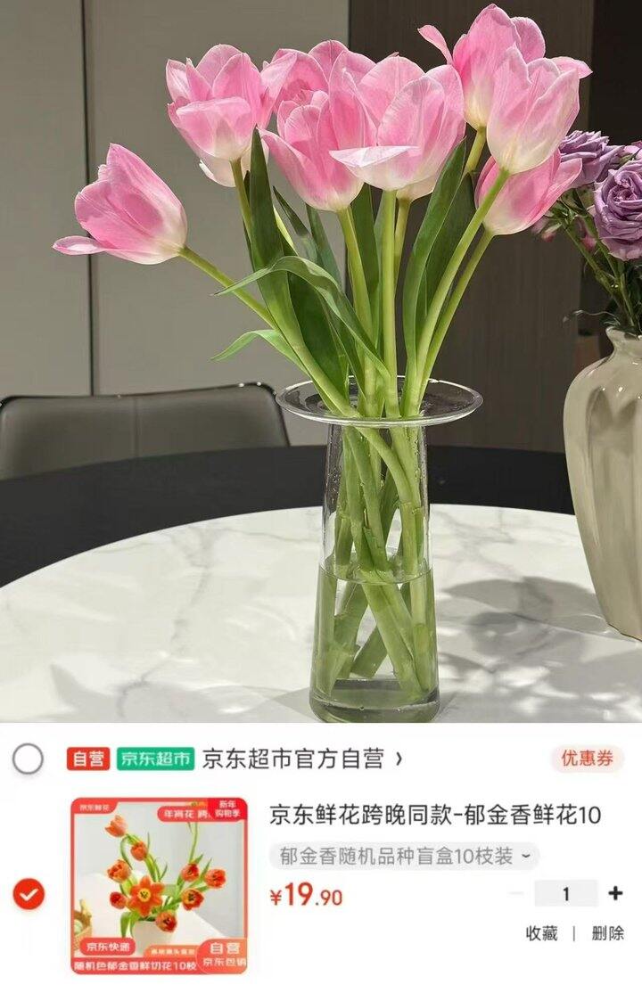 自营郁金香🌷