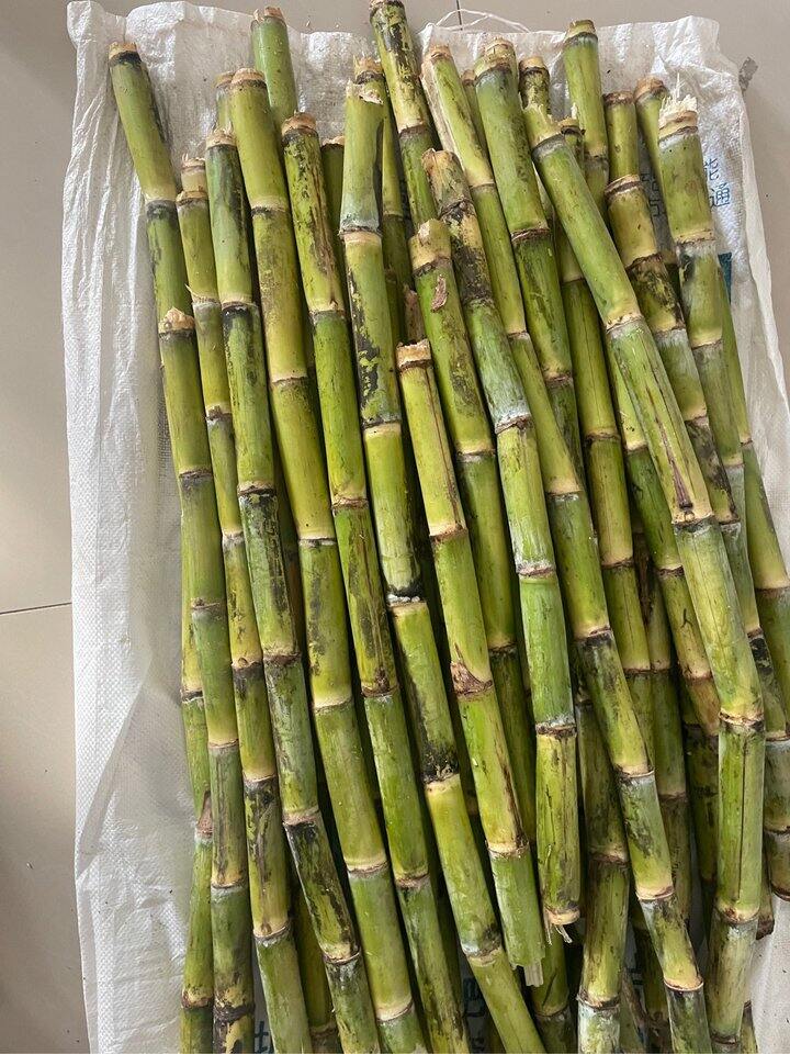 妈妈的爱永远不会断