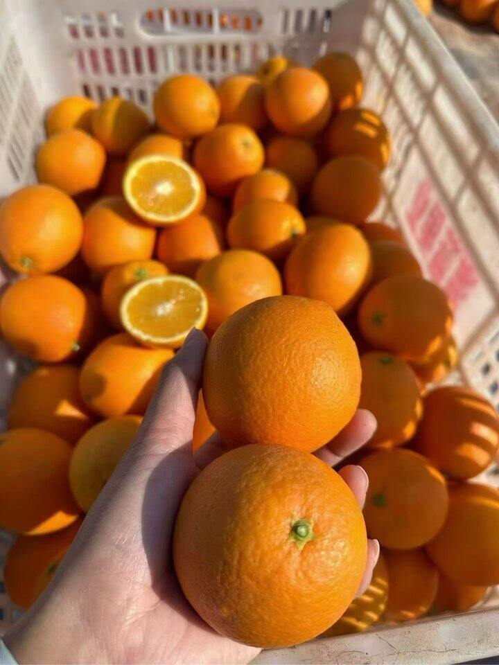 皮薄多汁的中小果