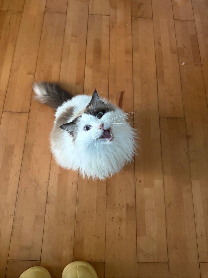 最近一年我大概瘦了10斤