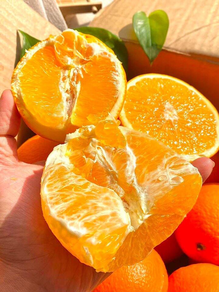 百果园赣南脐橙！💰2+