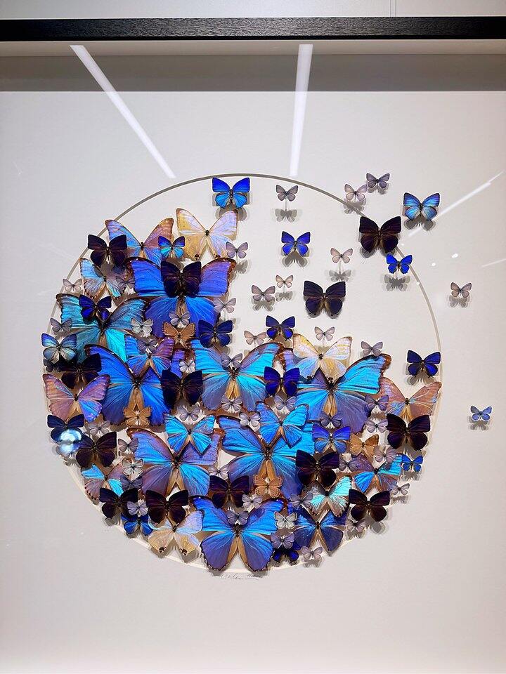 推荐克里斯自然艺术馆