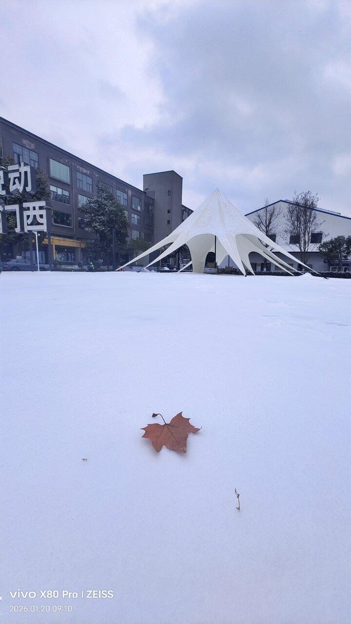 ［随手拍］漫漫上班路