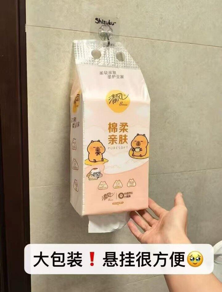 💰2.19/提 清风卡皮巴拉悬挂抽纸