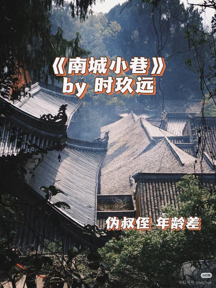 小说书单《南城小巷》作者：时玖远